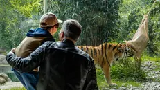 Non solo animali da vedere ma anche progetti di studio e difesa