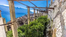 Le limonaie sono oggi patrimonio culturale condiviso