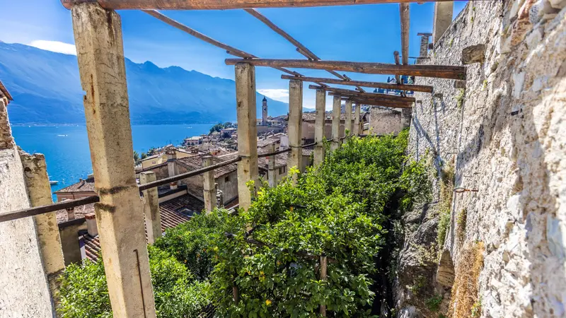 Le limonaie sono oggi patrimonio culturale condiviso