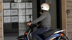 Una persona guarda offerte di lavoro (foto simbolica)