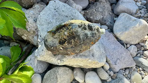 La bomba a mano fatta brillare a San Felice