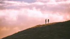 «Siamo artisti in cammino»