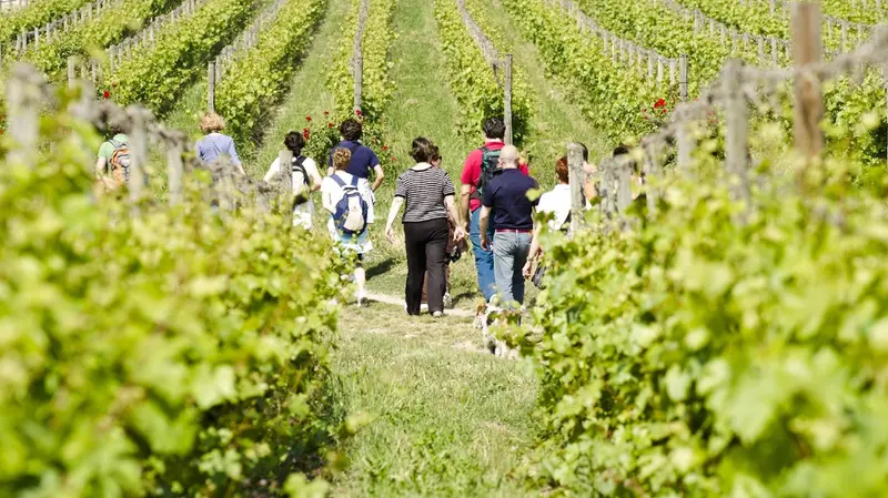 Il turismo enogastronomico è un veicolo per fare scoprire la provincia - © www.giornaledibrescia.it
