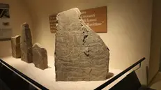 All'interno del museo della preistoria