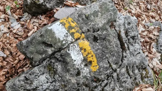 Dei segnavia di colore bianco e giallo su un masso