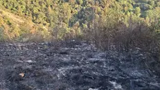 Le operazioni di spegnimento dell'incendio a Capriolo