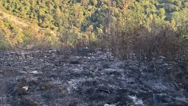 Le operazioni di spegnimento dell'incendio a Capriolo