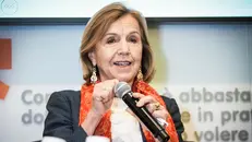 Elsa Fornero, dopo l'esperienza al governo con il premier Mario Monti, è tornata all'attività accademica