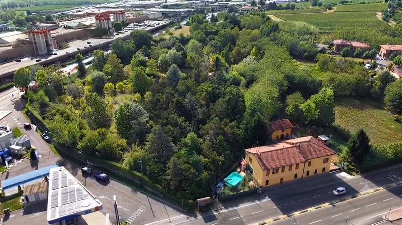 La collina verde al centro dell'operazione