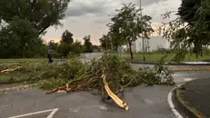 I danni del maltempo a Pontevico