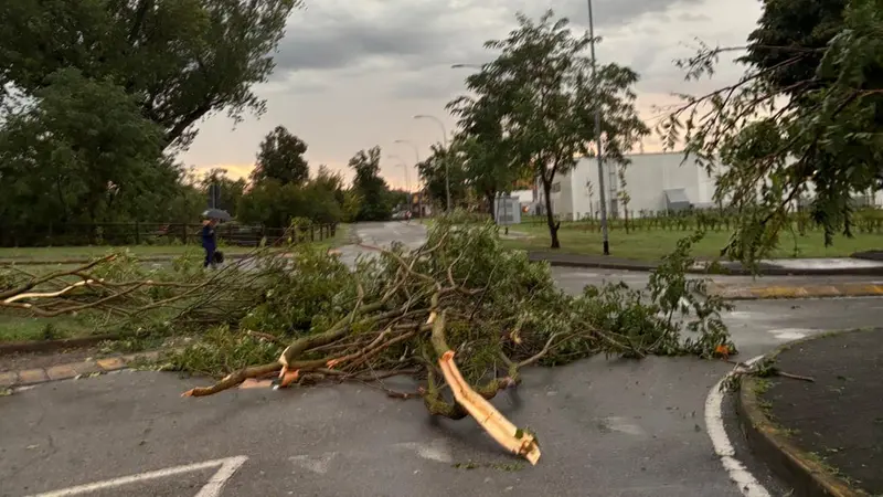 I danni del maltempo a Pontevico