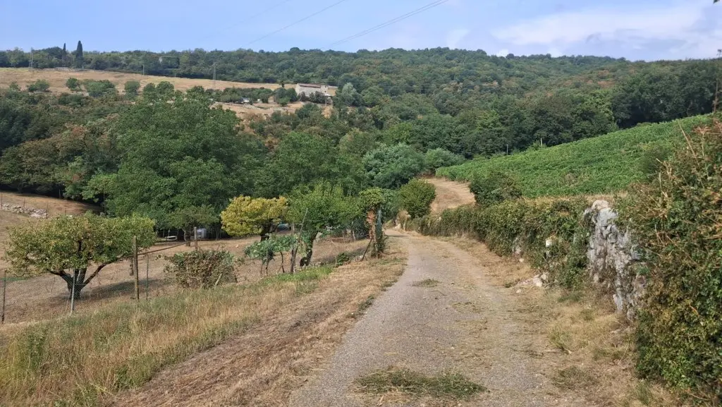 Tra le colline, il margine del Vajo Galina - Foto Ruggero Bontempi