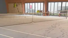 I vandali hanno anche coperto il campo di polvere bianca