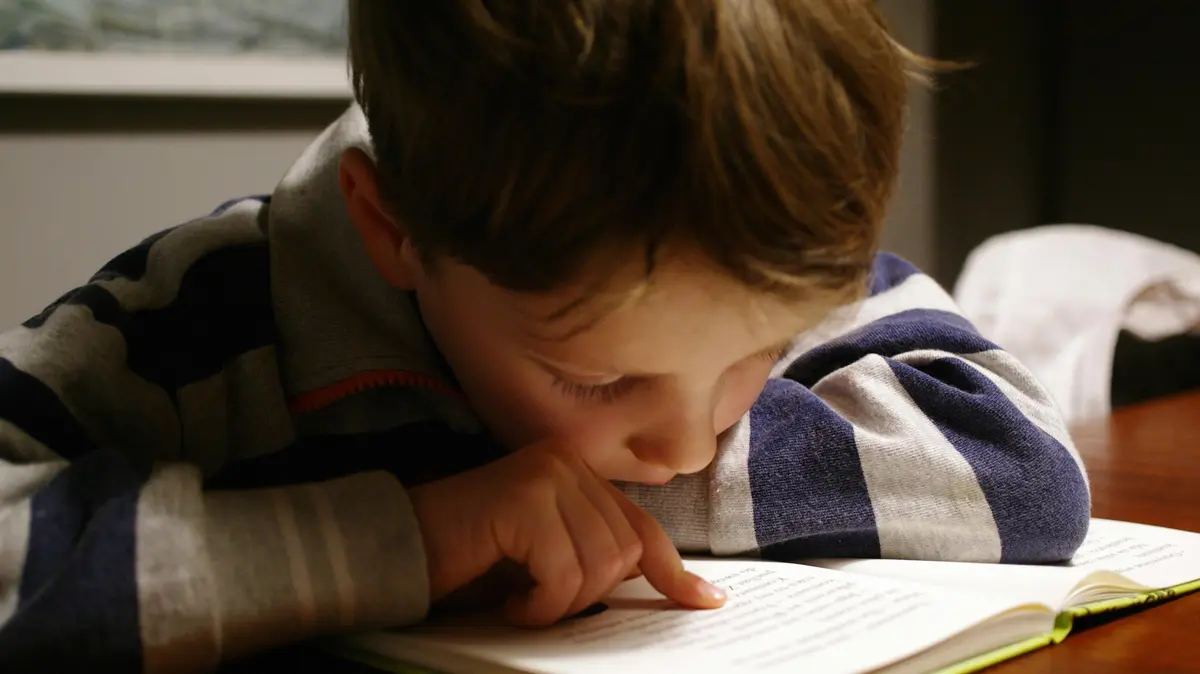 Un bambino intento a leggere