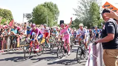 L'ultima partenza di tappa del Giro dal Bresciano, nel 2024 da Manerba del Garda - Foto © www.giornaledibrescia.it