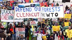 Un corteo di protesta di militanti ecologisti a Seattle nel 1999