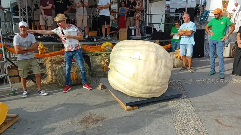 La zucca che ha vinto a Sale Marasino - © www.giornaledibrescia.it