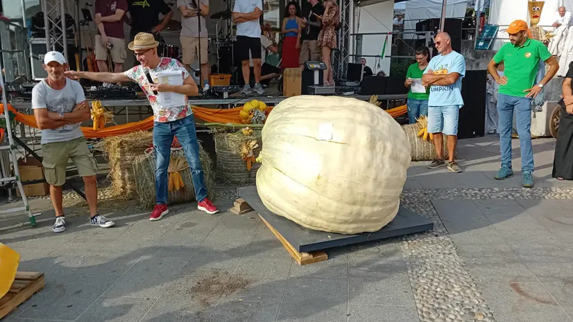 La zucca che ha vinto a Sale Marasino - © www.giornaledibrescia.it