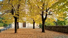 Uno scorcio autunnale a Mompiano