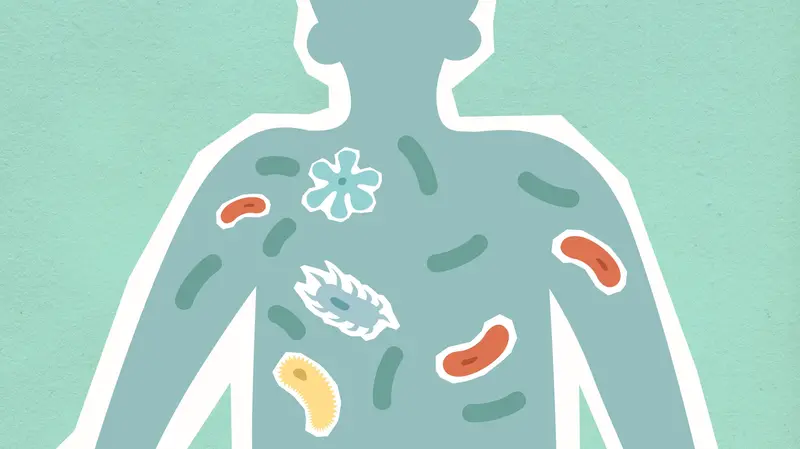 Il microbiota intestinale è un ecosistema davvero complesso