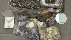 La droga sequestrata dalla Polizia locale