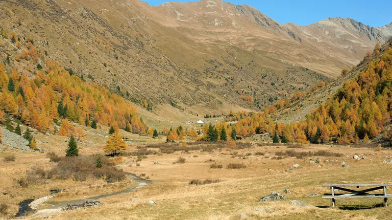 La Val Grande - Foto Turismo Valle Camonica