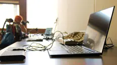 Una persona con disabilità sul luogo di lavoro