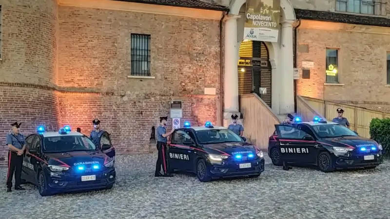 I controlli sono stati effettuati dai Carabinieri di Orzinuovi