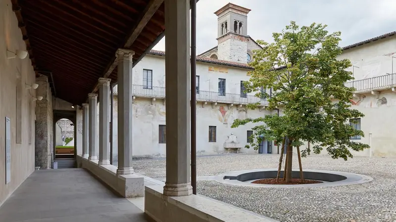 Il tiglio nel chiostro di Santa Maria in Solario - Archivio Fotografico Civici Musei di Brescia – Photo Tomás Quir