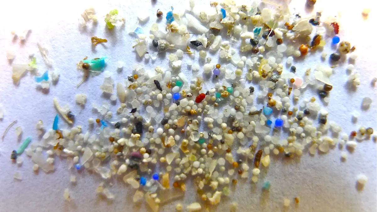 Microplastiche - © www.giornaledibrescia.it