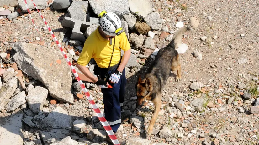 Una cane e un conduttore della Protezione civile - © www.giornaledibrescia.it