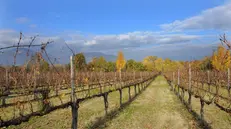 Un tipico paesaggio franciacortino