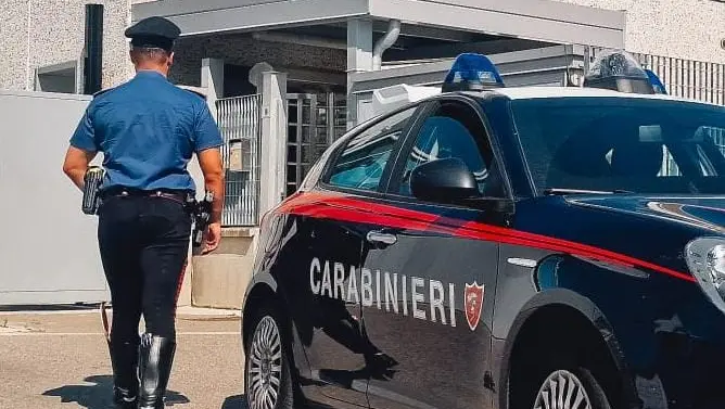 In poche ore i carabinieri della Compagnia di Desenzano sono risaliti agli autori e li hanno arrestati