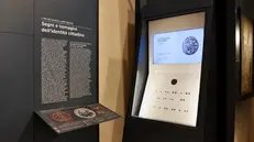 La rinnovata vetrina della sezione numismatica in Santa Giulia