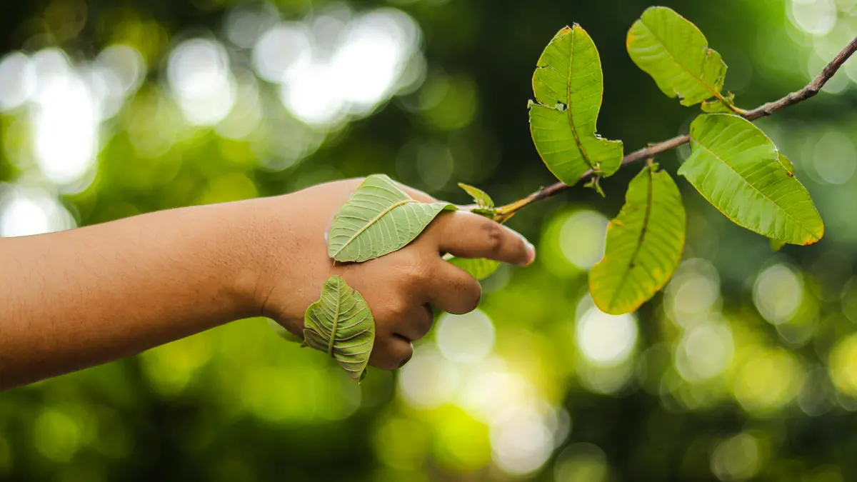 Il giurista ambientale è prima di tutto un esperto di diritto dell'ambiente