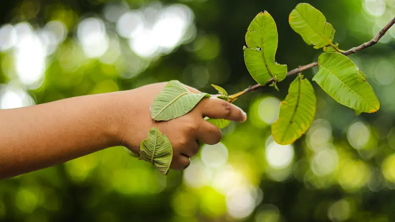 Il giurista ambientale è prima di tutto un esperto di diritto dell'ambiente