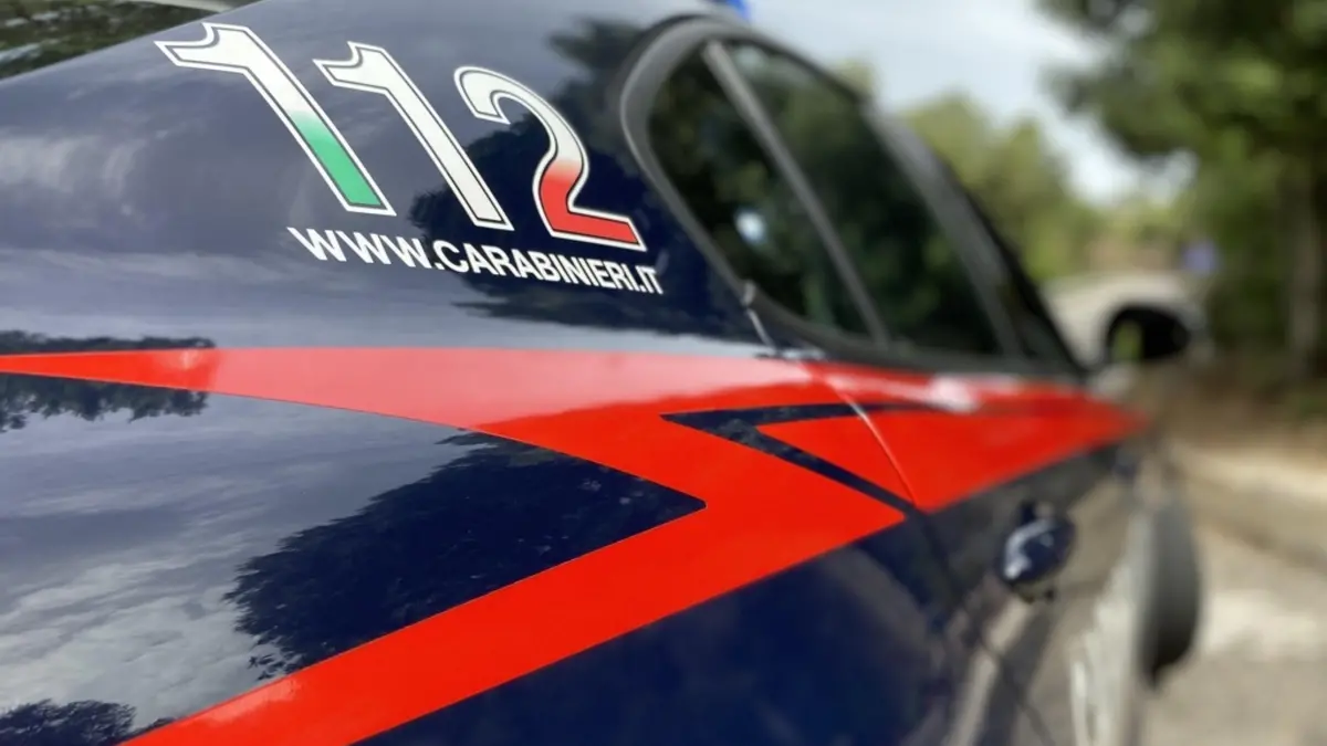 Investe bimbo a Torino e scappa, arrestata dai carabinieri