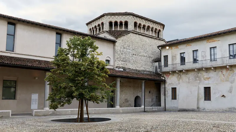 Il tiglio di Ermengarda nel chiostro