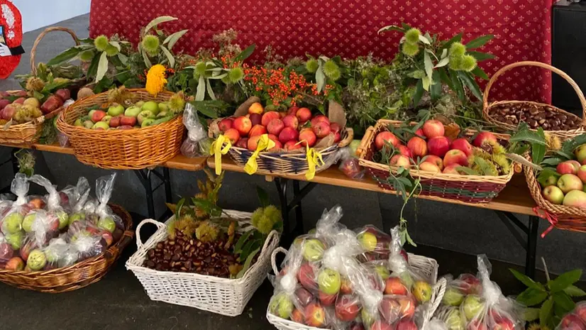 Tutto pronto per la Sagra delle mele
