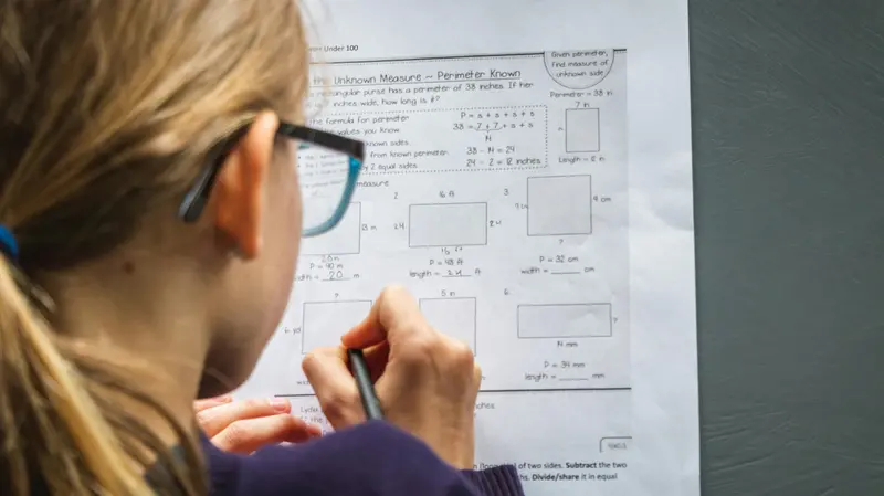 Oggi i laureati in matematica preferiscono lavorare in azienda e "solo" il 30% si dedica all’insegnamento