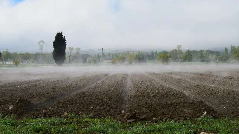 Concentrazioni troppo elevate di azoto nei campi possono diventare inquinanti