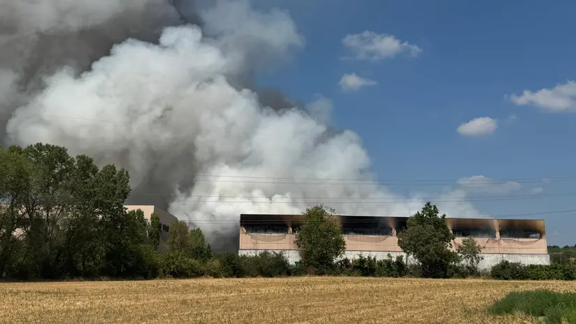 Il fumo levatosi dall'azienda di Lonato - © www.giornaledibrescia.it