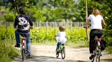 Scegliere la bici è più sostenibile e più economico