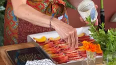 Laura Cuscito al lavoro