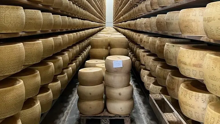 Forme di Grana Padano