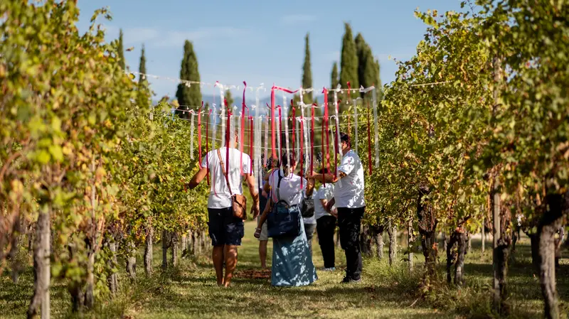 Una precedente edizione di Profumi di mosto