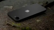 Un iPhone a terra