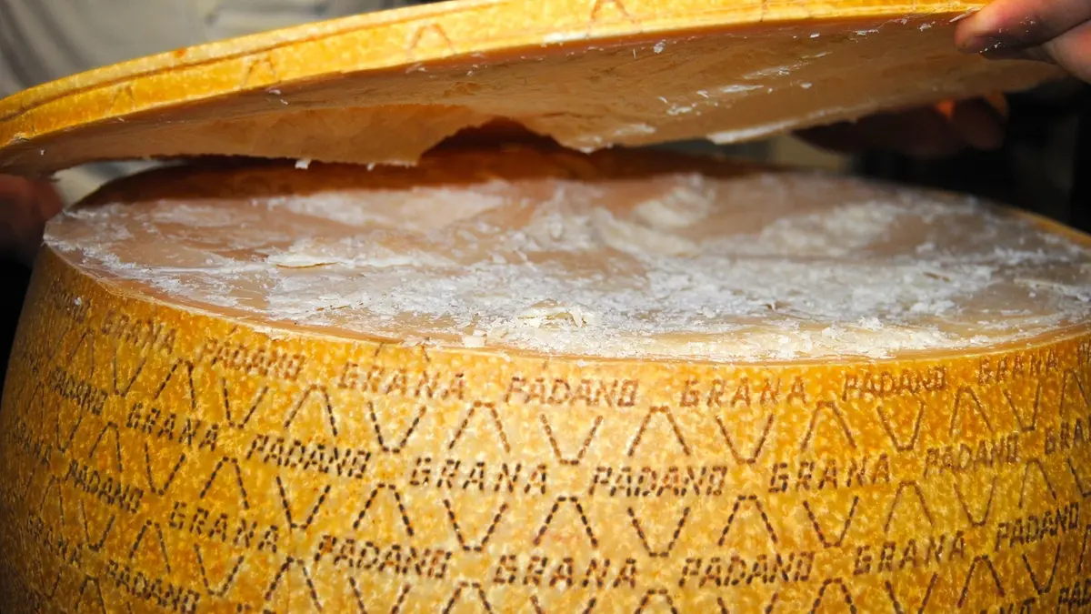 Una forma di Grana Padano