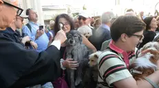 Nella chiesa di San Francesco la tradizionale benedizione degli animali