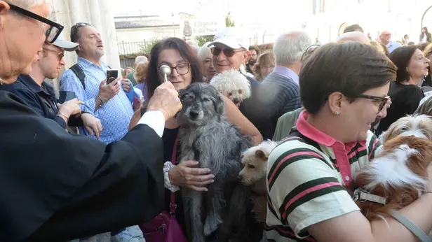 Nella chiesa di San Francesco la tradizionale benedizione degli animali